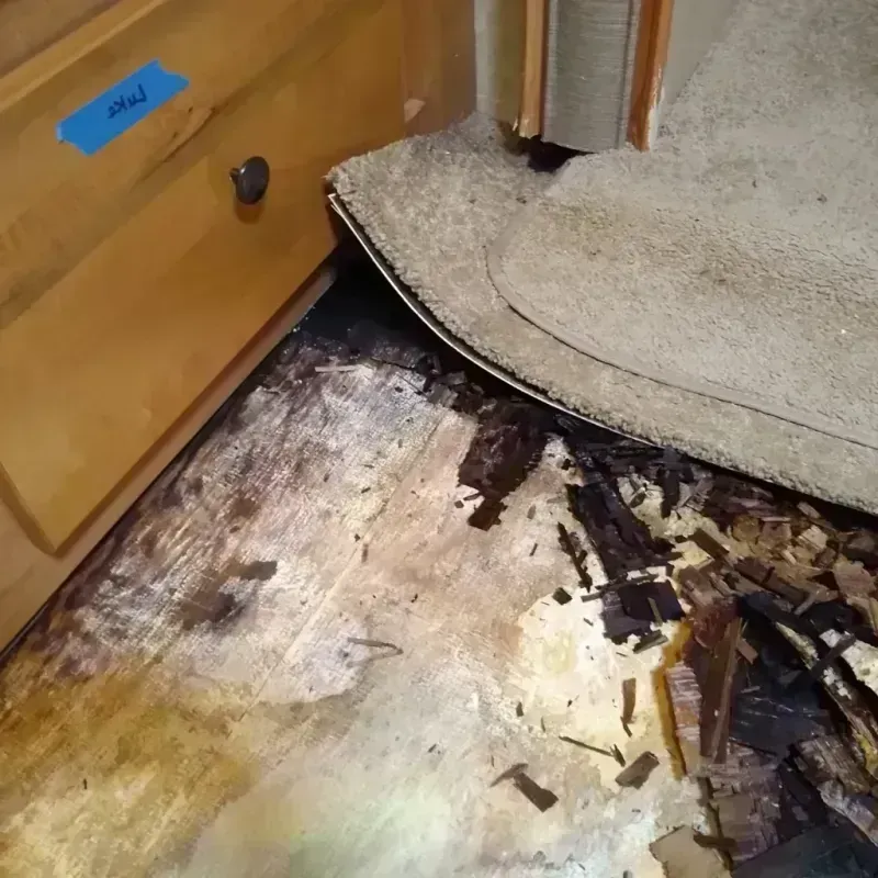 Wood Floor Water Damage in Phillips, WI